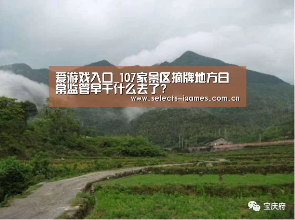 爱游戏入口_107家景区摘牌地方日常监管早干什么去了?(图2) 爱游戏平台