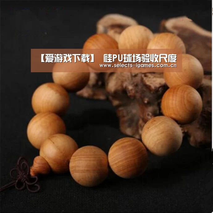 【爱游戏下载】
硅PU球场验收尺度